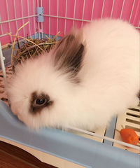 �������㡿+�ҼҵĿɿ�5�����»��ϲ���