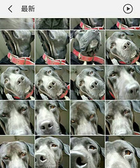 �������㡿+˧�ƿ��ȿɸ���