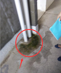 "马上装修了,可惜师傅看到我们家毛坯房后,却不敢接活!"