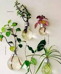 软装搭配其实并没有那么难 留0.1平放绿植就行了