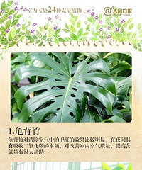 ��Ȼ��������������