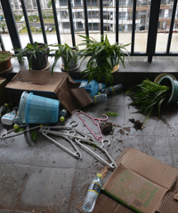 [�²�]�����Ϲ�ѡ�������ӽ�ˮ  �Ҽ����ڳɵ����۹⴦