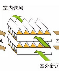 为防鼻炎复发,我的房子必须这么装