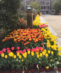 [�²�]��������·� ȴͻȻ����֪Ҫ��Ĺ�����ھ�