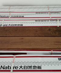 �ذ����  �����ŵĸ�����������ɫ