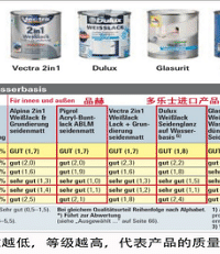 "德国领先涂料品牌排名情况(前十)"