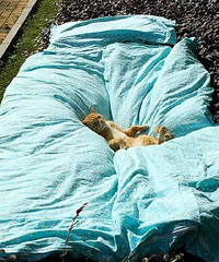 [�²�]ƾʲô��������ס�ߵ�С�����ܰѱ���ɹ��¶�죿