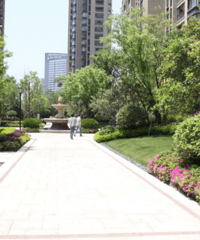 [²]˰һ鷿Ū һϼҽ