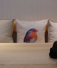 [װ]Ǯ³Ǩ껨 ϾӸҪƷ