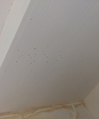 [�²�]���Ų����Ҽ�ס �������Ҽ����ණ����