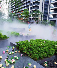 [ռ]ڶ򵽱ˣסɵСܺô