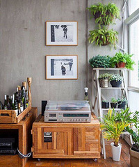 #��������#ǽ��ֱ���㱼 ���ϲ����