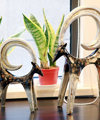 [���]ס����Ͱ��Ծ�Ҫ��һ�㣬��80��װ������Ұ