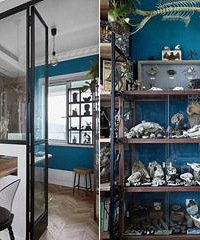 [���]�Ϲ������Ⱞ�� �ѽ����鷿��ɱ걾ʵ����