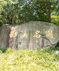 [�ռ�]����С�������ˣ�LG���˵��ھ��������ױ���