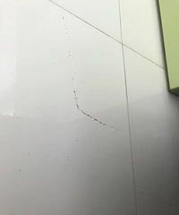 "楼下拆承重墙造成大面积开裂,物业不作为维权无门!"