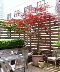 乡下的院子这么美,你还要在城里做房奴吗?