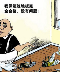 "没味道就是环保装修?天地和揭露装修骗局"