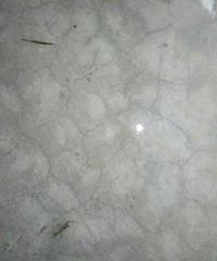 �Ҽҵ�����ֹ��ѣ�������˵����������