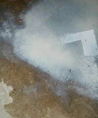 �Ҽҵ�����ֹ��ѣ�������˵����������