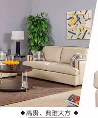 Ƥ��or���� ר�ξ���֢