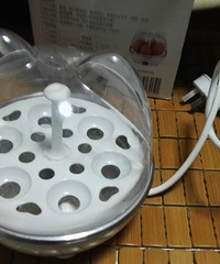 ȫ��������