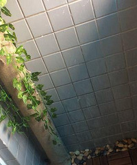 �����ʡ�˰�����Ǯ������Ϊ��̨һ�����������ŵ���