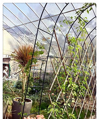 [���]��ɽ���޻�6�����ĵأ����������λû�԰