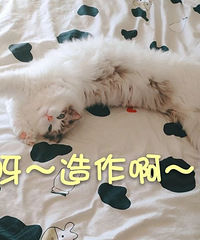 ��è��񫣬�ϾӰ�ƽ�鷿ȴ��20ƽ�����ø�TA