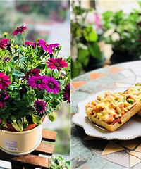 4月晒家主题赛,晒出你家的春景赢免费鲜花包月!