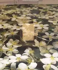 千万不能被老婆发现