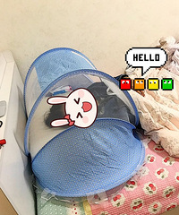 闲置的婴儿帐篷,终于用起来了!