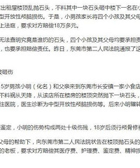 做房东难!顽童出租屋楼顶抛石伤人却要我赔钱