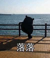 脑子一热花8W弄块休闲区,3个月不到被蛀空!