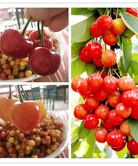 30��ӣ������� 23��10�㿪�� �ղغ�����