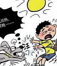 花2w把它买回家,却因亲了一口把我送进了医院