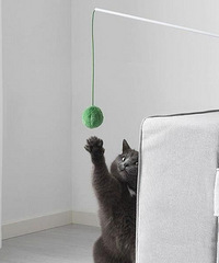 �˼����ȦǮ����ô��С������300�黹���ϻ�