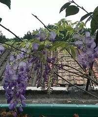 这位90后福建美女红啦!这招每月花1600元住三层大露台别墅