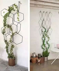 几根绳子把绿植种成屏风,为家里添一屏翠绿!