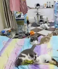 �Ϲ�˵31�O������������������Ͳ��������