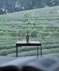 ���ط����ҵĻ���¥�����