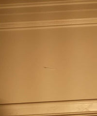 �����ˮ����ľ������Ѻ� ʲôԭ�����