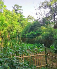 无敌山景房一年只要八百?三个穷光蛋火爆B站一分钟圈粉140万