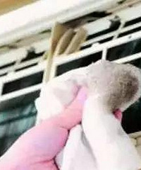 ����յ�10��ʹ��С��ʶ����֪��������