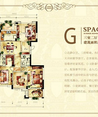 ��������ǲ���α�ϱ�ͨ����֪����ô��ƻ���