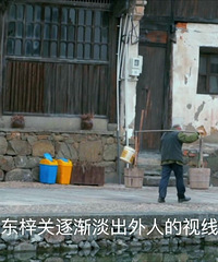 浙江十八线乡镇,靠几幢土房迎来10w+人围观