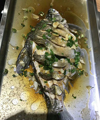 ����������  ��Ϻ�׷�����ͳͳ�ܸ㶨