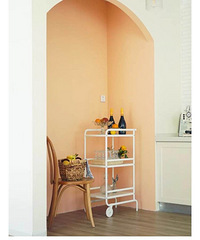 ���Ժ����������Ļ���ɫ�ͷ���ɫ ��ʵ���Ҵ�����