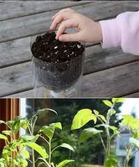 �������Լ�����һ��ë���ֳ�����