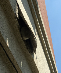 �յ�ʦ����װ���ǽ��������